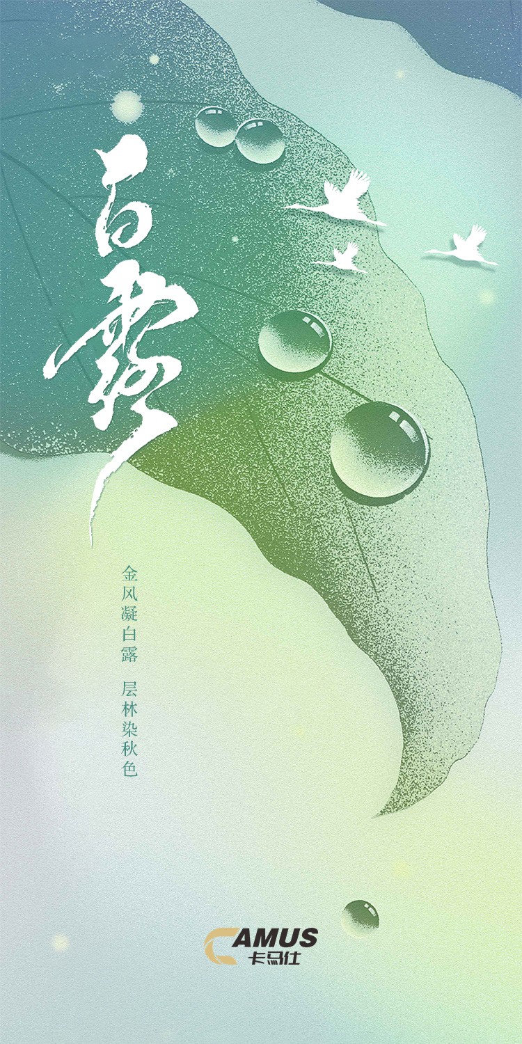 白露-卡马仕.jpg
